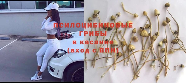 винт Магадан