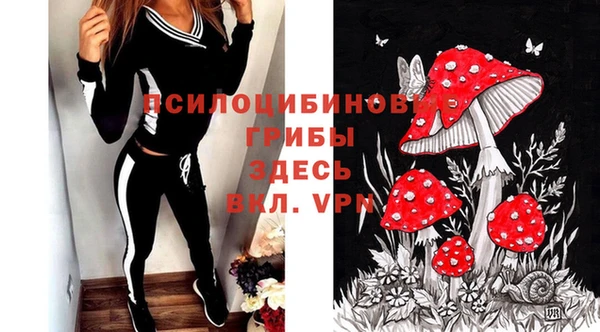 дурь Майский