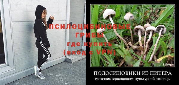 дурь Майский