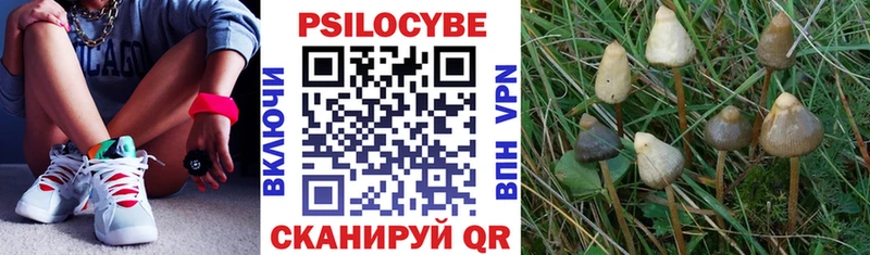 Галлюциногенные грибы мухоморы  Приволжский 